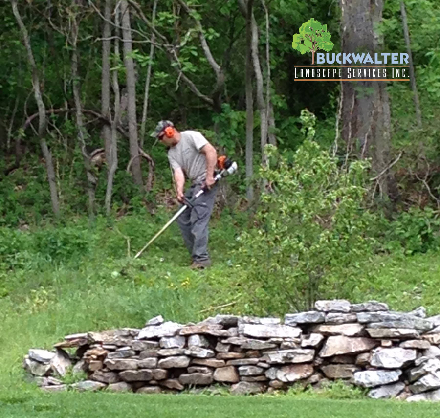 Buckwalter landscape serving Reading PA