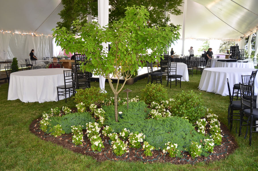 Special Occasion Landscaping