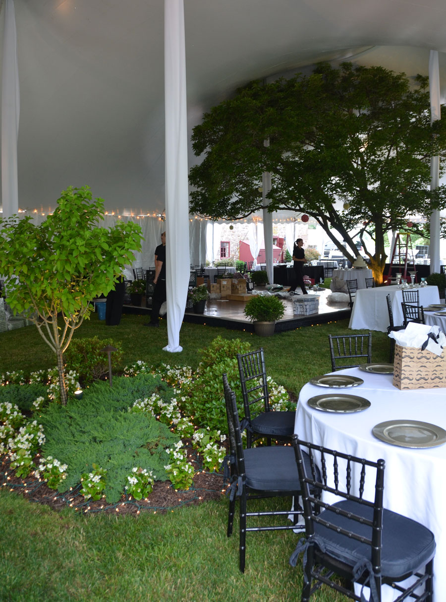 Special Occasion Landscaping